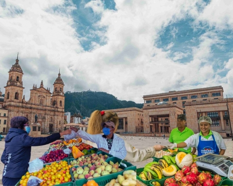 El campo se toma la Plaza de Bolívar: Bogotá celebra el Gran Mercado Campesino 2025